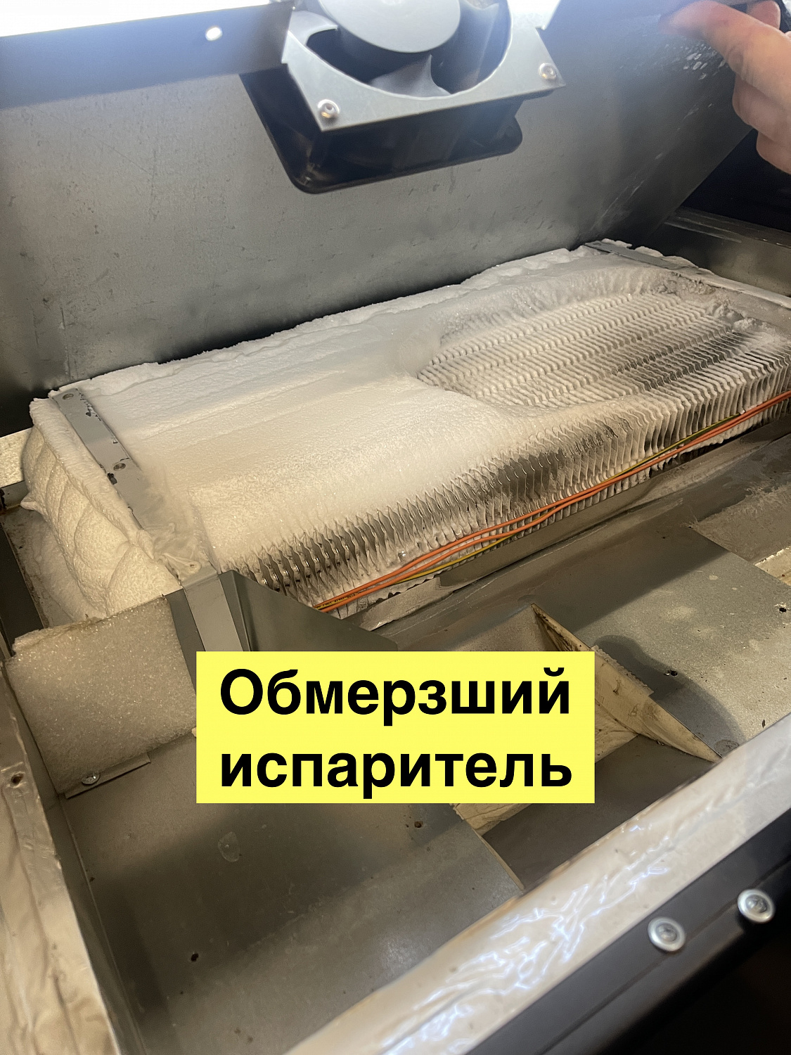 Выездной ремонт холодильной витрины Carboma