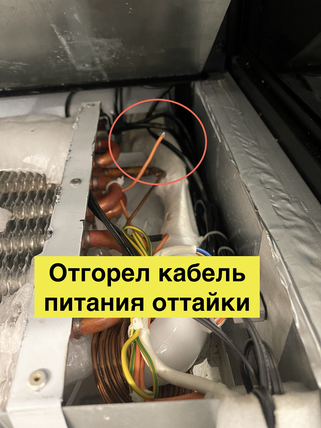 Выездной ремонт холодильной витрины Carboma