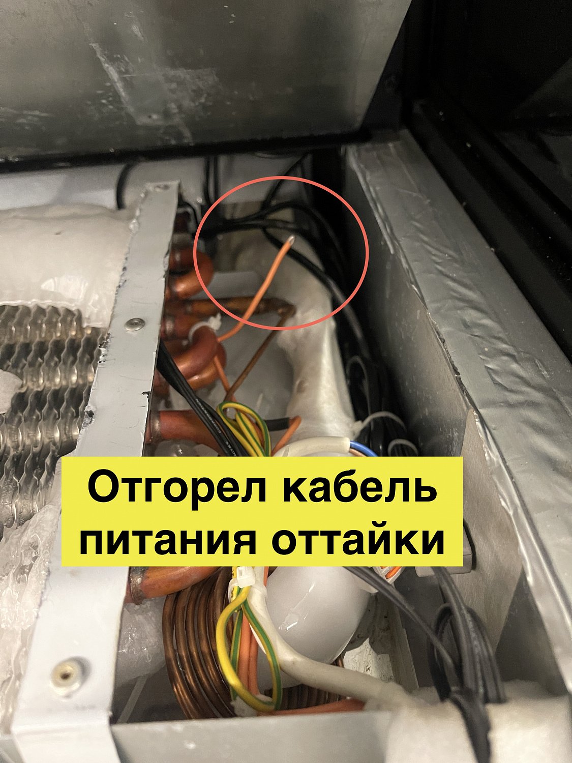 Выездной ремонт холодильной витрины Carboma